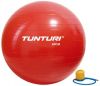 Tunturi Fitnessbal Gymball Swiss ball Ø 55 cm Inclusief pomp Zilver online kopen