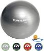 Tunturi Fitnessbal Gymball Swiss ball Ø 55 cm Inclusief pomp Zilver online kopen